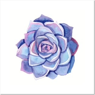 Hand painted purple watercolor succulent Posters and Art